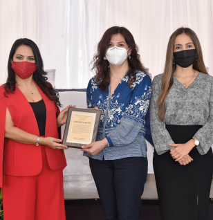 RECONOCIMIENTO IMPLEMENTACIÓN CÁMARA GESELL